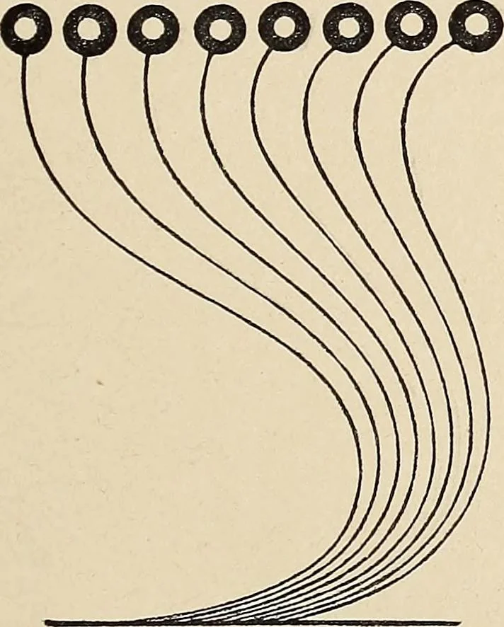 An illustration from Méthode de composition ornementale, 1905, leaf 422