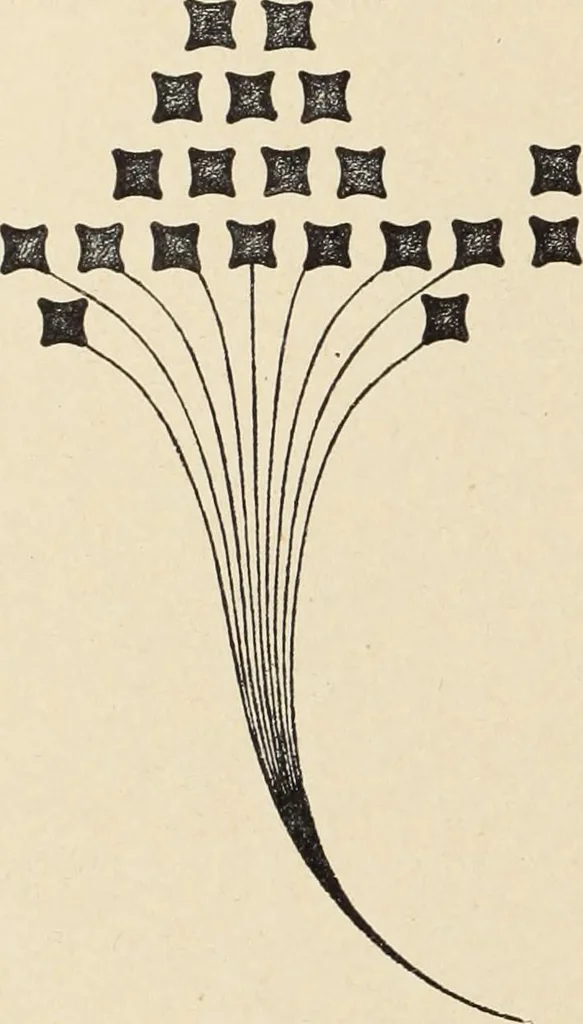 An illustration from Méthode de composition ornementale, 1905, leaf 423