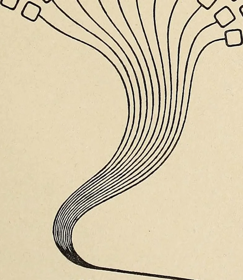 An illustration from Méthode de composition ornementale, 1905, leaf 424