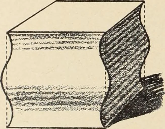 An illustration from Méthode de composition ornementale, 1905, leaf 43