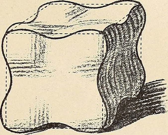 An illustration from Méthode de composition ornementale, 1905, leaf 44
