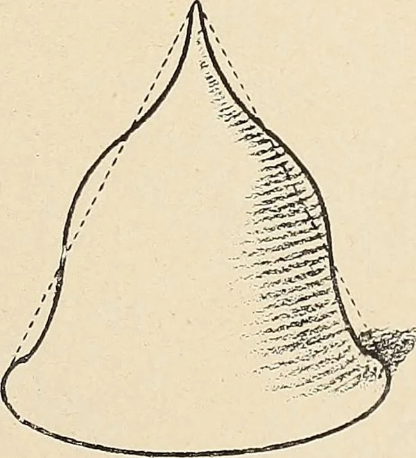 An illustration from Méthode de composition ornementale, 1905, leaf 44