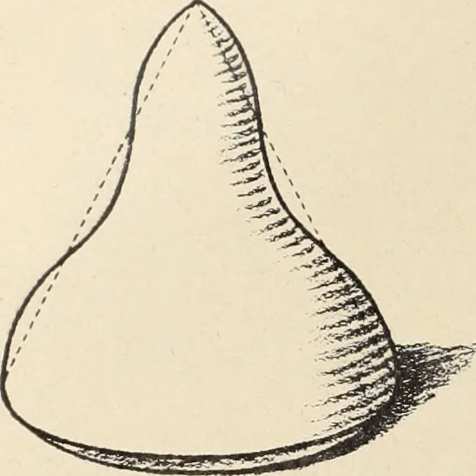 An illustration from Méthode de composition ornementale, 1905, leaf 45