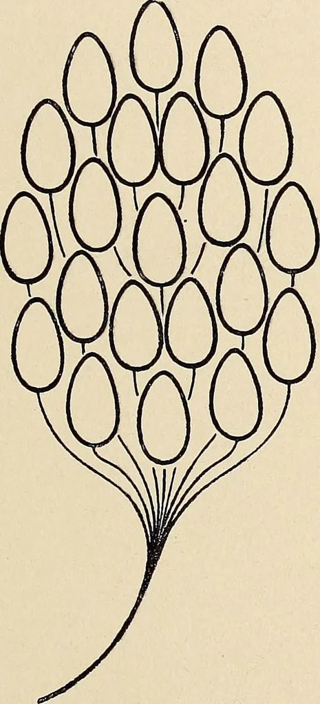 An illustration from Méthode de composition ornementale, 1905, leaf 452