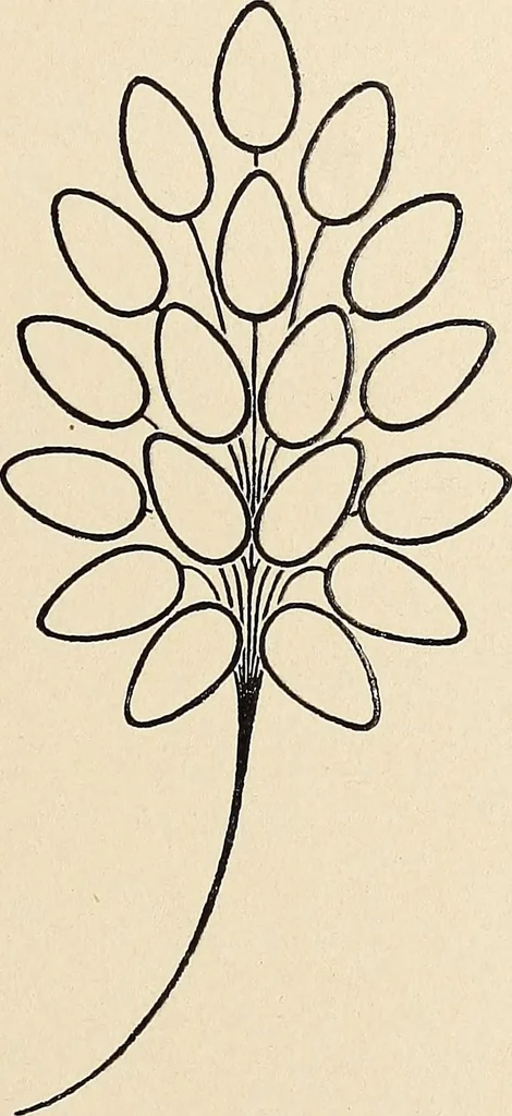 An illustration from Méthode de composition ornementale, 1905, leaf 452