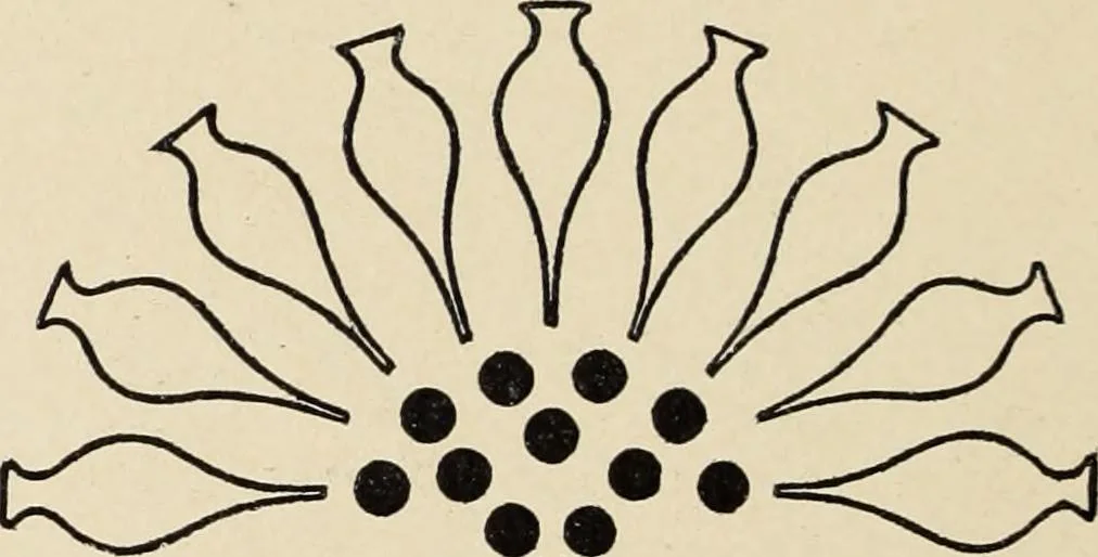 An illustration from Méthode de composition ornementale, 1905, leaf 453