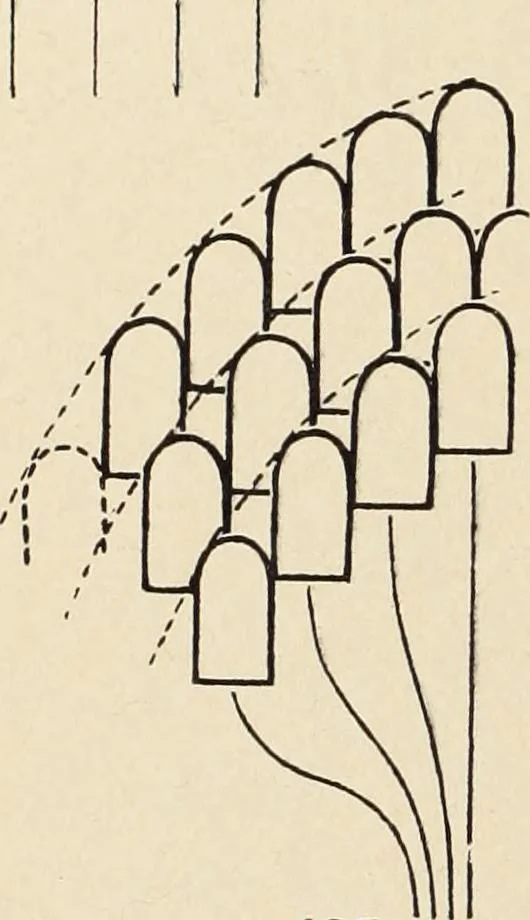 An illustration from Méthode de composition ornementale, 1905, leaf 455