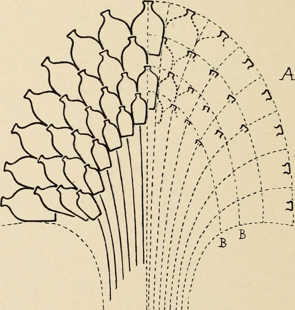 An illustration from Méthode de composition ornementale, 1905, leaf 455