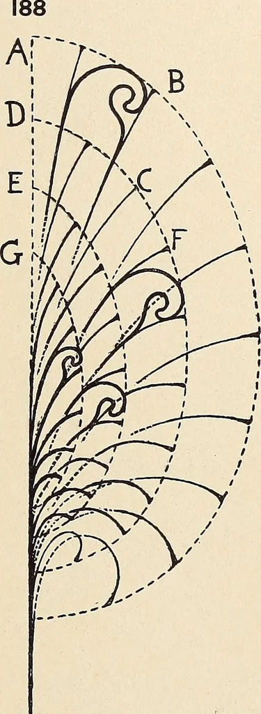 An illustration from Méthode de composition ornementale, 1905, leaf 456