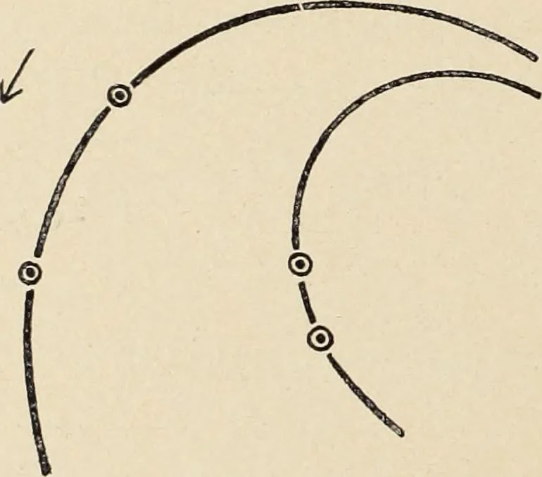 An illustration from Méthode de composition ornementale, 1905, leaf 461