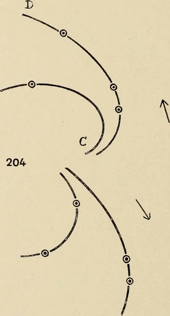 An illustration from Méthode de composition ornementale, 1905, leaf 461