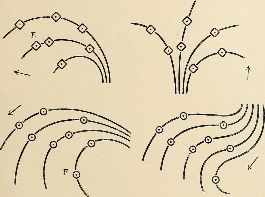 An illustration from Méthode de composition ornementale, 1905, leaf 462
