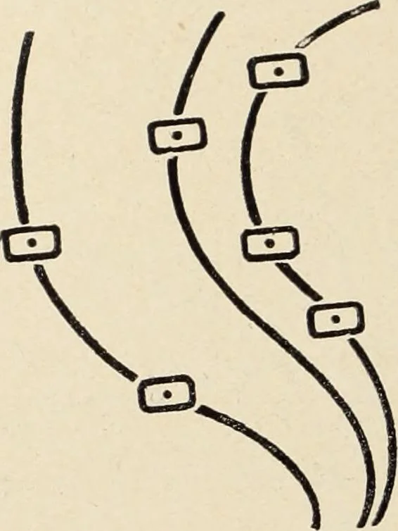 An illustration from Méthode de composition ornementale, 1905, leaf 463