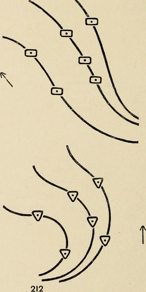 An illustration from Méthode de composition ornementale, 1905, leaf 463
