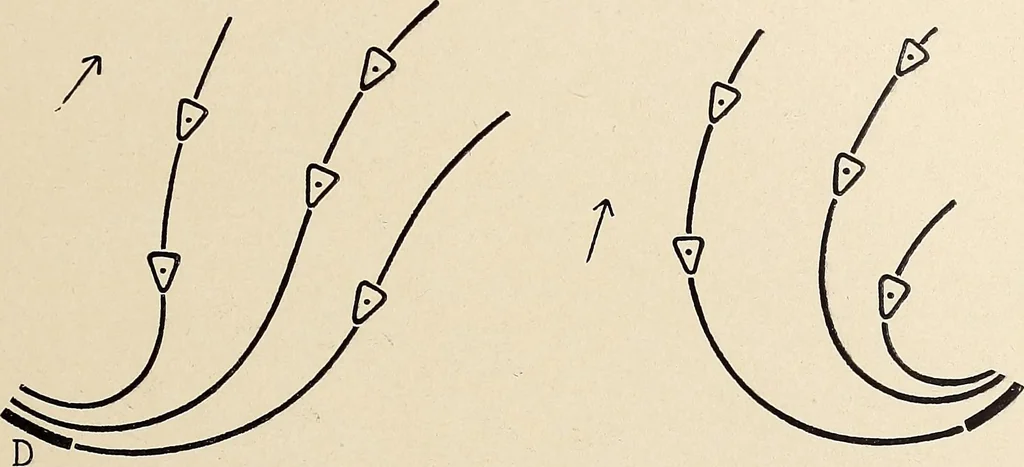 An illustration from Méthode de composition ornementale, 1905, leaf 464