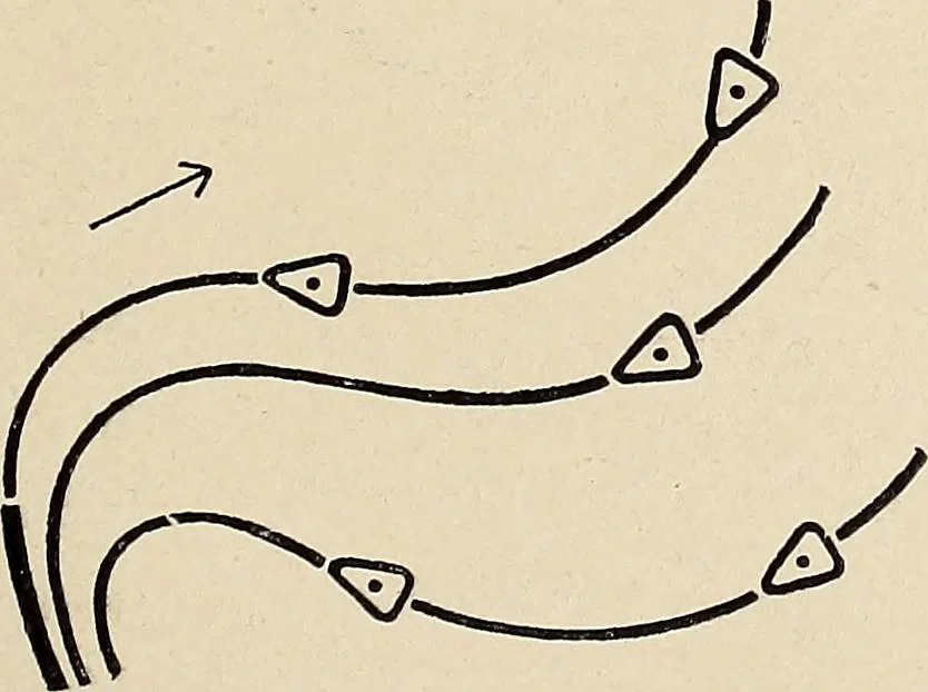 An illustration from Méthode de composition ornementale, 1905, leaf 464