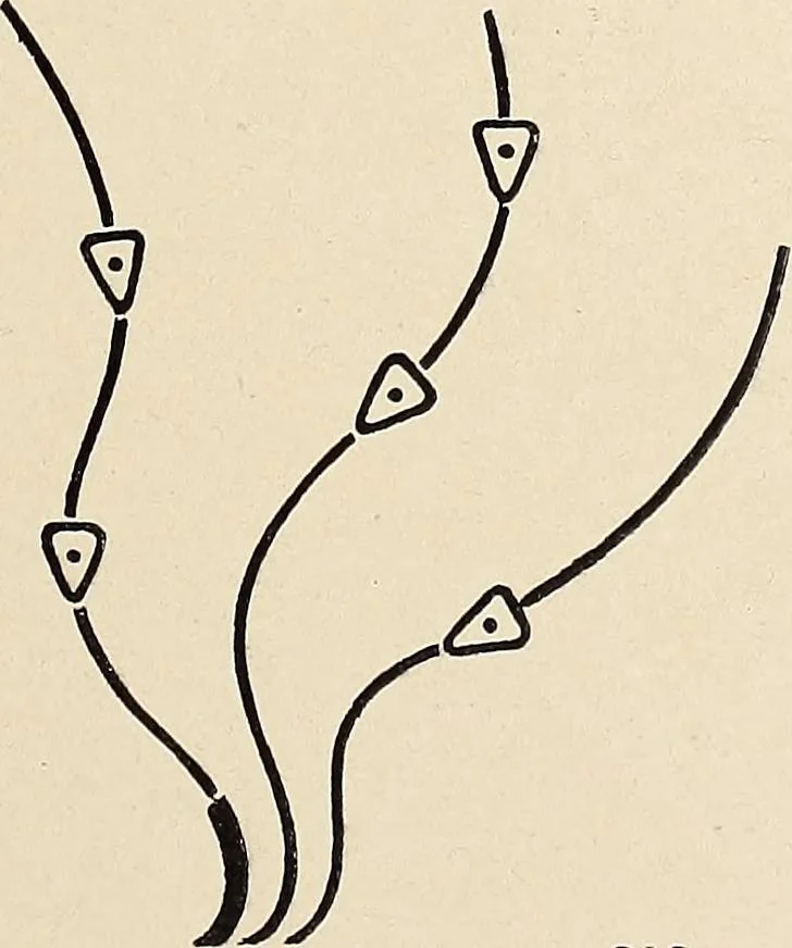 An illustration from Méthode de composition ornementale, 1905, leaf 464