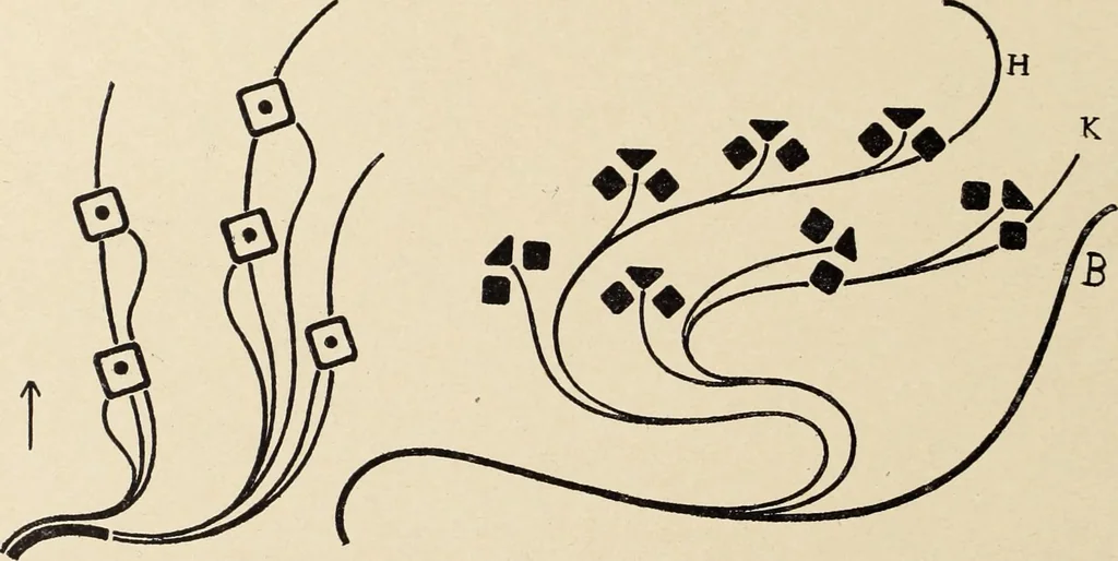 An illustration from Méthode de composition ornementale, 1905, leaf 465