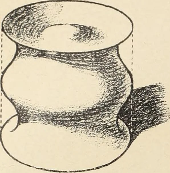 An illustration from Méthode de composition ornementale, 1905, leaf 47