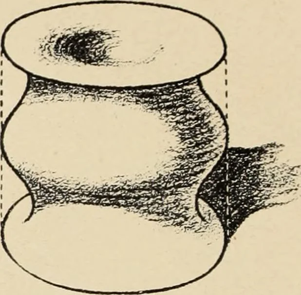 An illustration from Méthode de composition ornementale, 1905, leaf 47