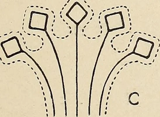 An illustration from Méthode de composition ornementale, 1905, leaf 472