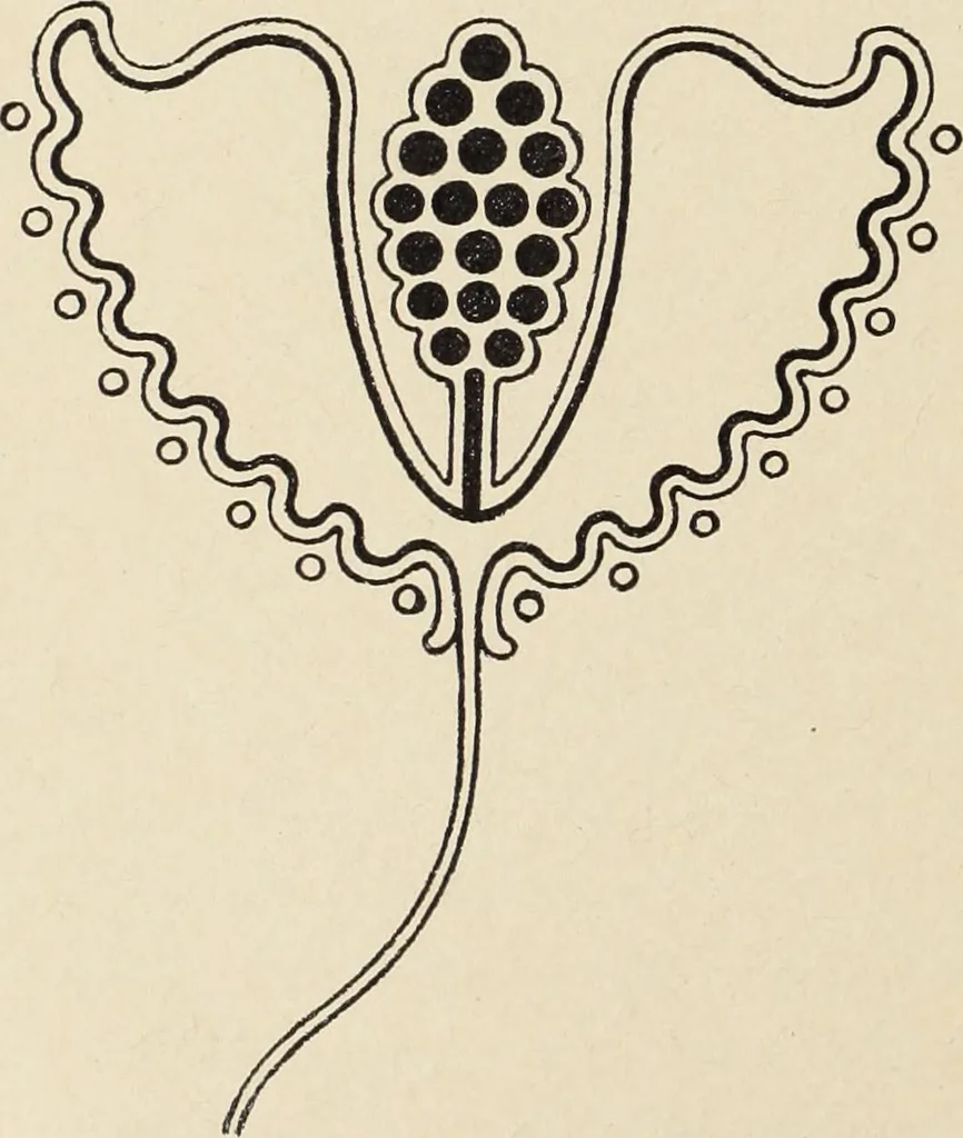An illustration from Méthode de composition ornementale, 1905, leaf 477