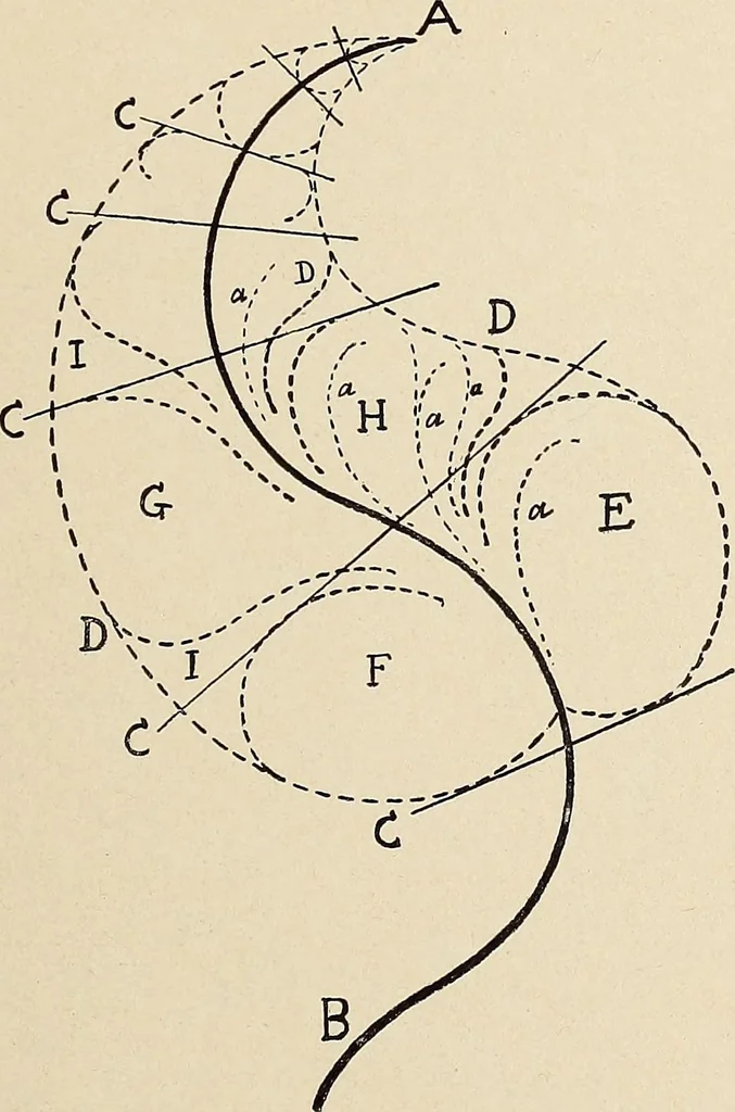 An illustration from Méthode de composition ornementale, 1905, leaf 482