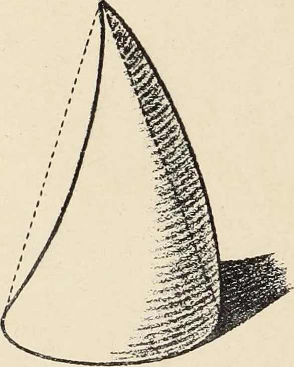 An illustration from Méthode de composition ornementale, 1905, leaf 49