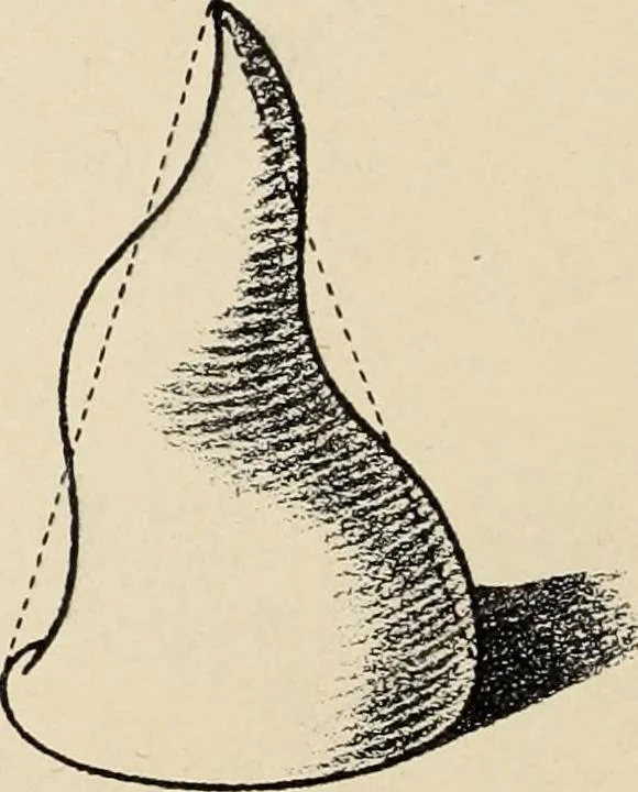 An illustration from Méthode de composition ornementale, 1905, leaf 49