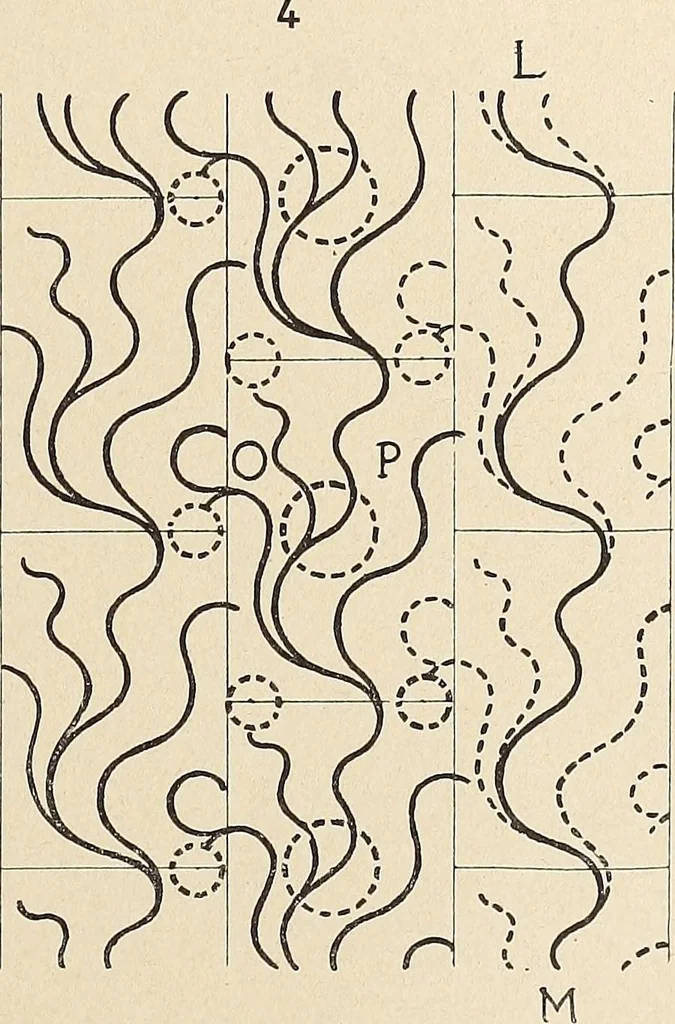 An illustration from Méthode de composition ornementale, 1905, leaf 498