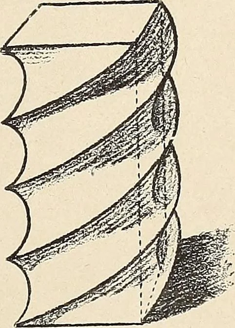An illustration from Méthode de composition ornementale, 1905, leaf 50