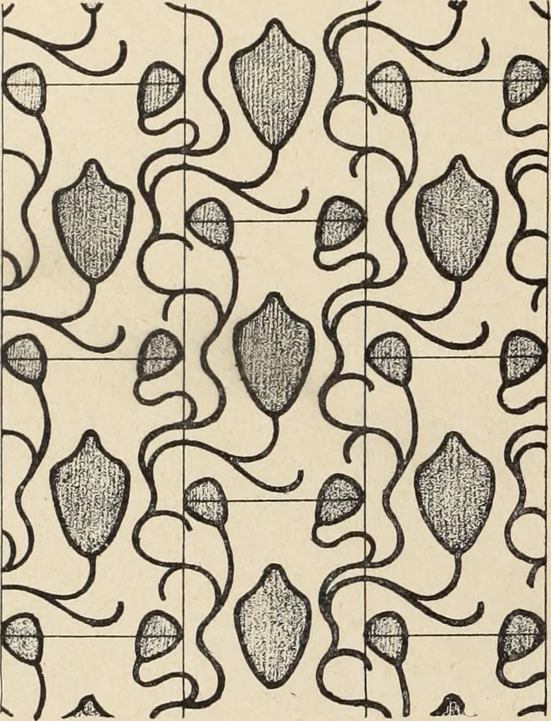 An illustration from Méthode de composition ornementale, 1905, leaf 505