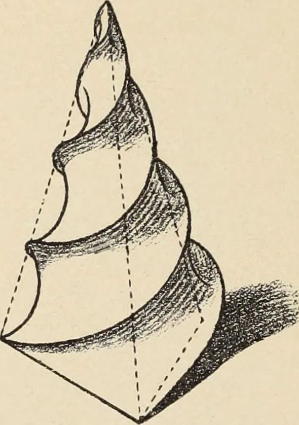 An illustration from Méthode de composition ornementale, 1905, leaf 51