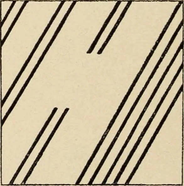 An illustration from Méthode de composition ornementale, 1905, leaf 55