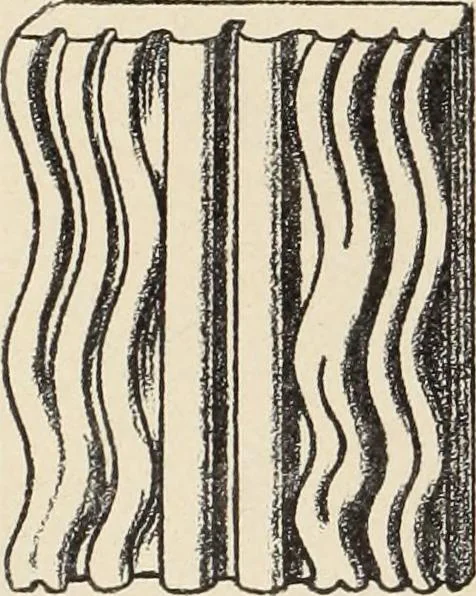 An illustration from Méthode de composition ornementale, 1905, leaf 57