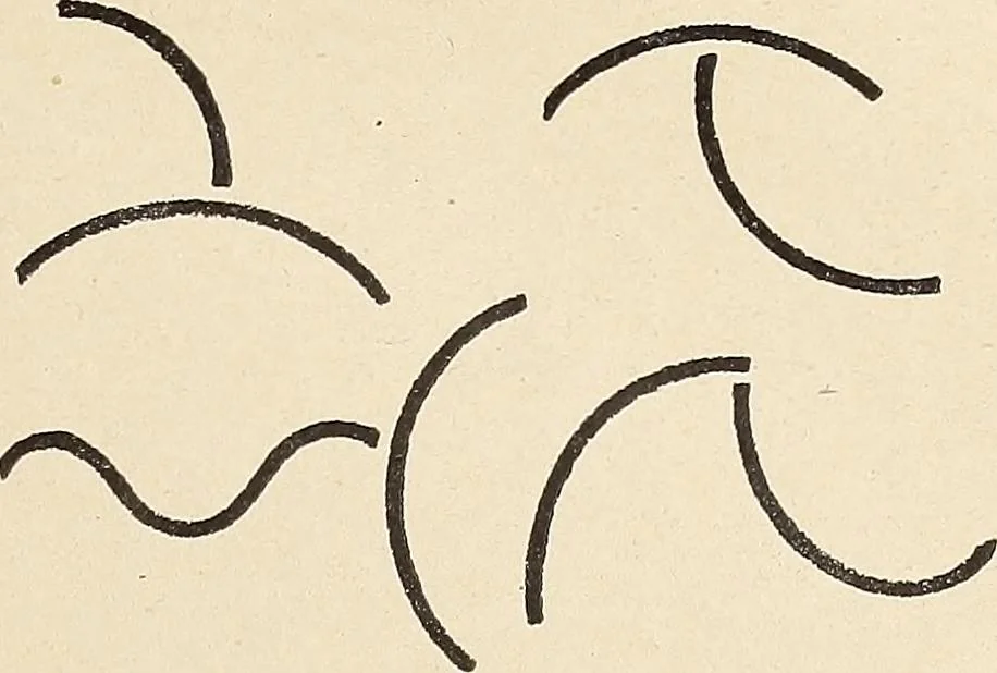 An illustration from Méthode de composition ornementale, 1905, leaf 58