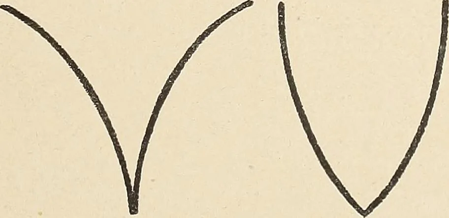 An illustration from Méthode de composition ornementale, 1905, leaf 58