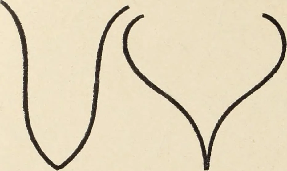 An illustration from Méthode de composition ornementale, 1905, leaf 59