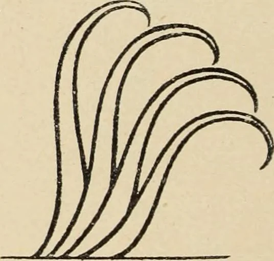An illustration from Méthode de composition ornementale, 1905, leaf 69