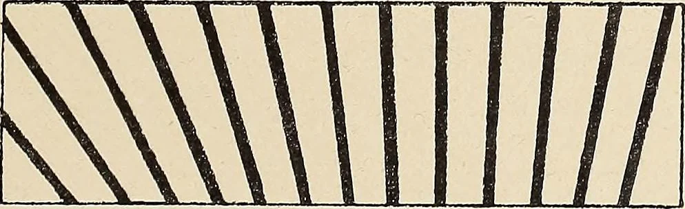 An illustration from Méthode de composition ornementale, 1905, leaf 72