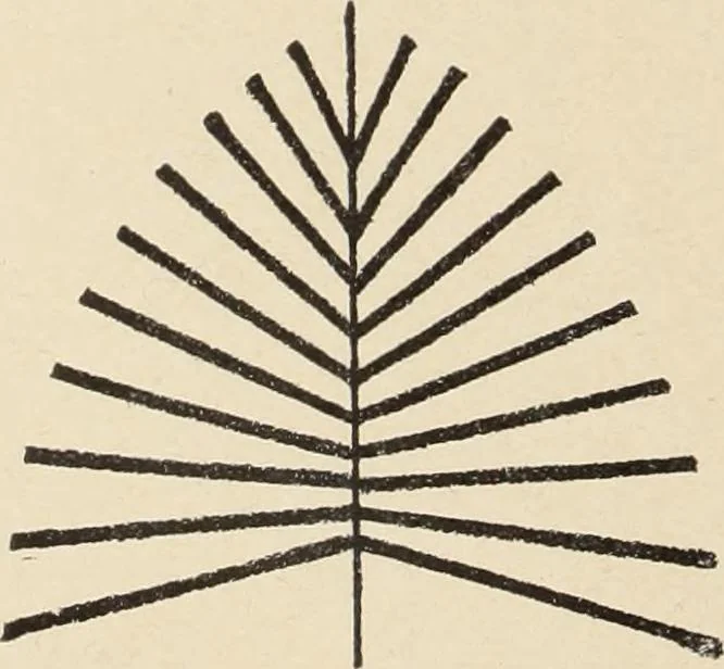 An illustration from Méthode de composition ornementale, 1905, leaf 73