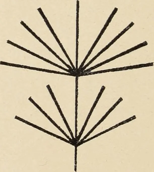 An illustration from Méthode de composition ornementale, 1905, leaf 73