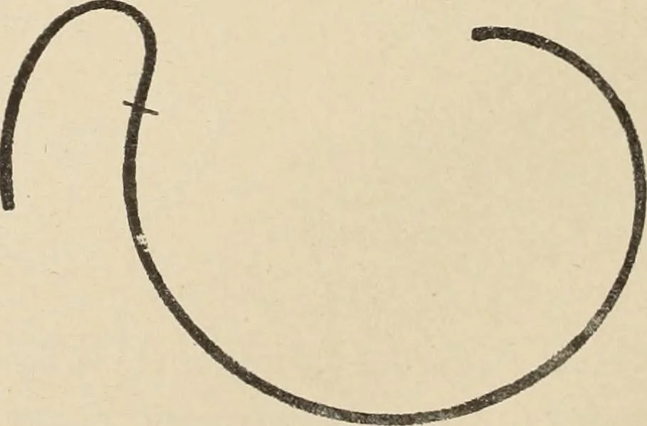 An illustration from Méthode de composition ornementale, 1905, leaf 75