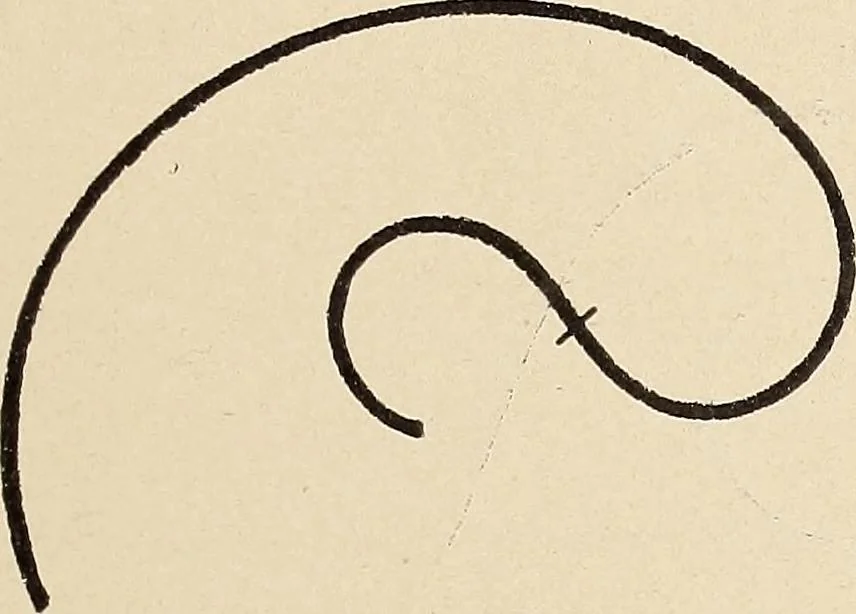 An illustration from Méthode de composition ornementale, 1905, leaf 76