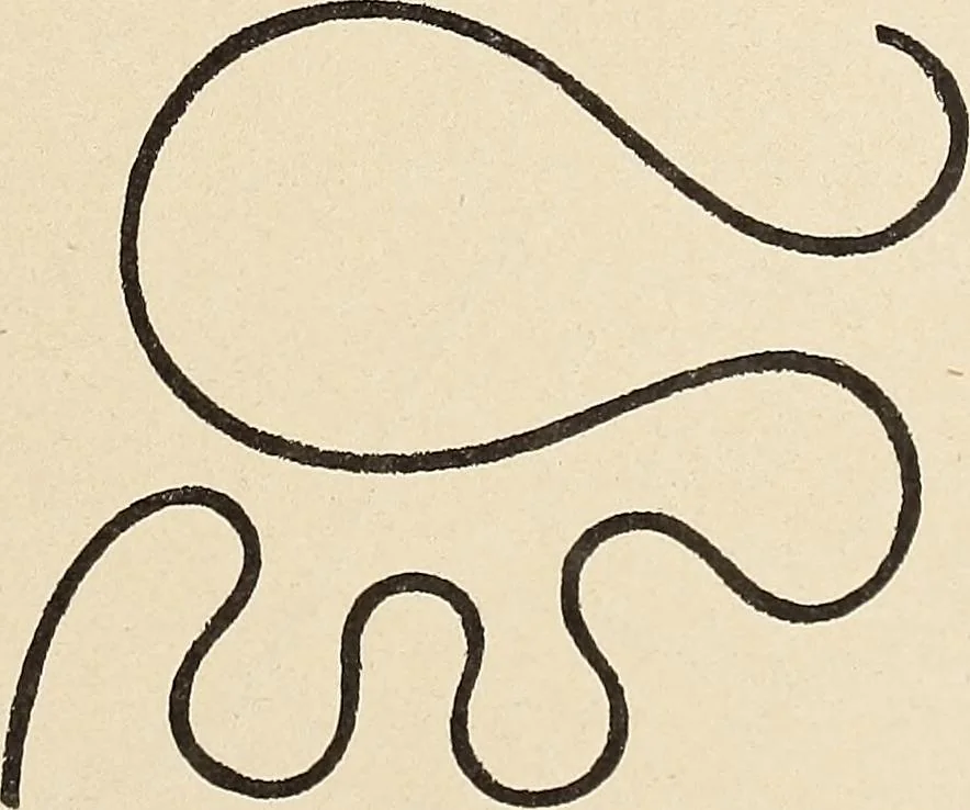 An illustration from Méthode de composition ornementale, 1905, leaf 76