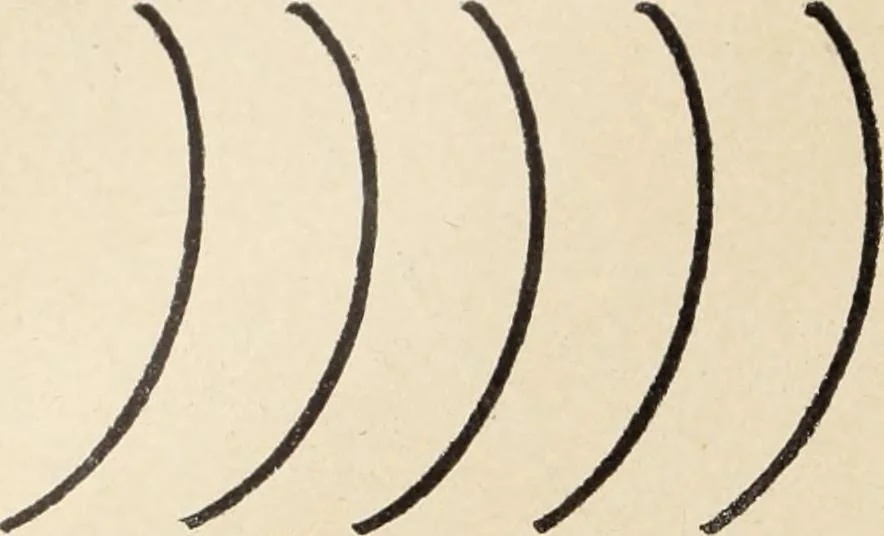 An illustration from Méthode de composition ornementale, 1905, leaf 79
