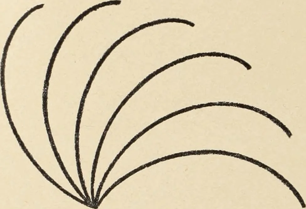 An illustration from Méthode de composition ornementale, 1905, leaf 81