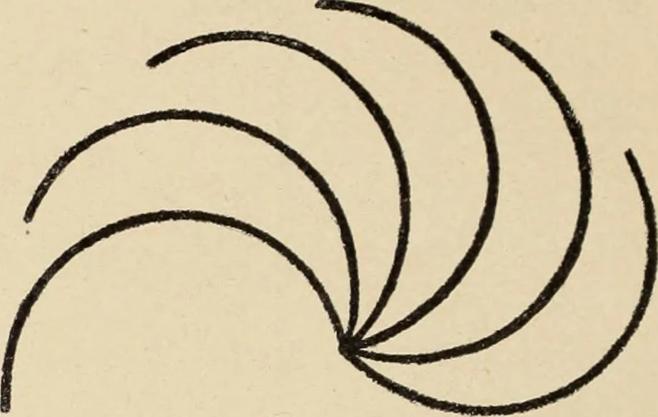 An illustration from Méthode de composition ornementale, 1905, leaf 81