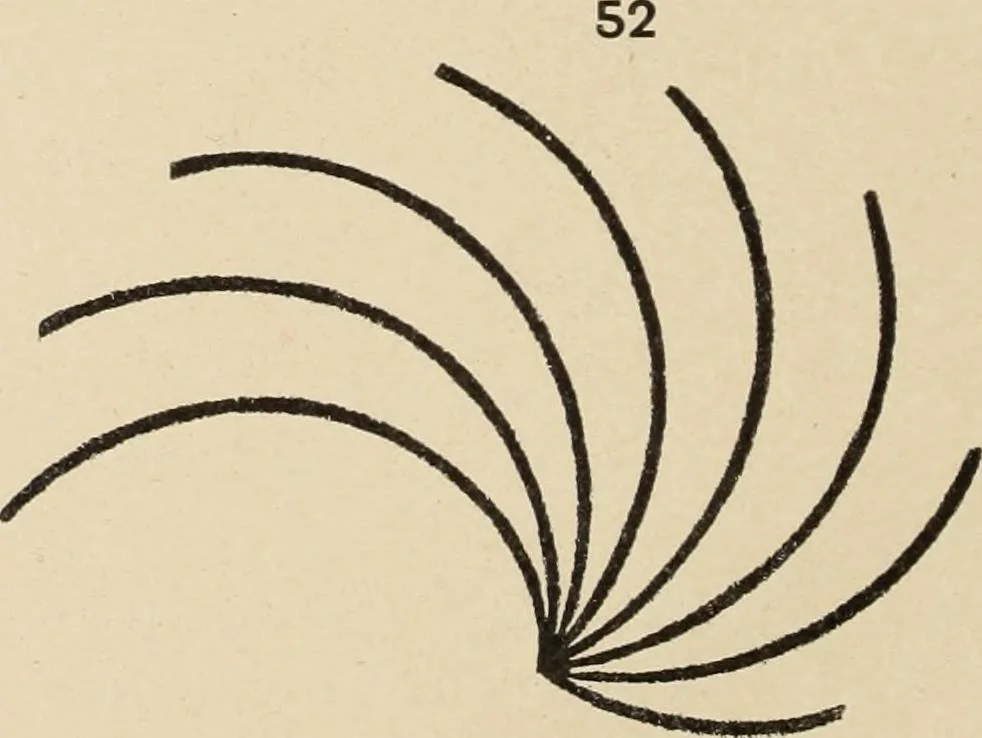 An illustration from Méthode de composition ornementale, 1905, leaf 81