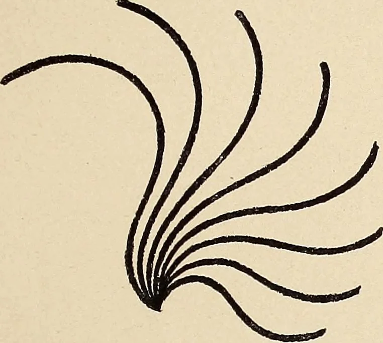 An illustration from Méthode de composition ornementale, 1905, leaf 82